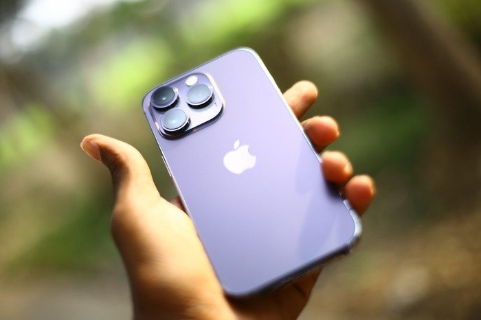 Which Programs Provide Free Government iPhone 13 Devices in 2025